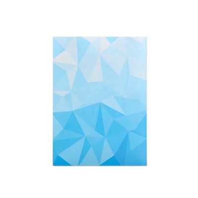 Stampa grafica Manicotti personalizzati per carte 66x91 66x92 Per protezione PVC senza acidi