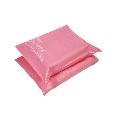 LDPE Poly Bag Envelope Waterproof Biodegradable Shipping Mailers per abbigliamento