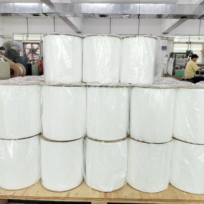 Sacchetti in polietilene riciclabili termosaldabili preaperti in LDPE, personalizzabili per dimensioni, in rotolo, per imballaggio automatico